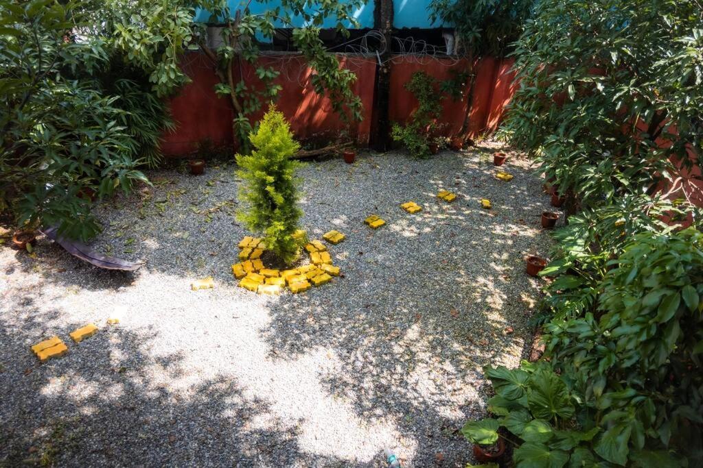 Blue Door Villa By Homeyhuts Rajpur Exterior photo